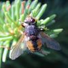 352383 – Photo : Mathurin CARNET – France (38)